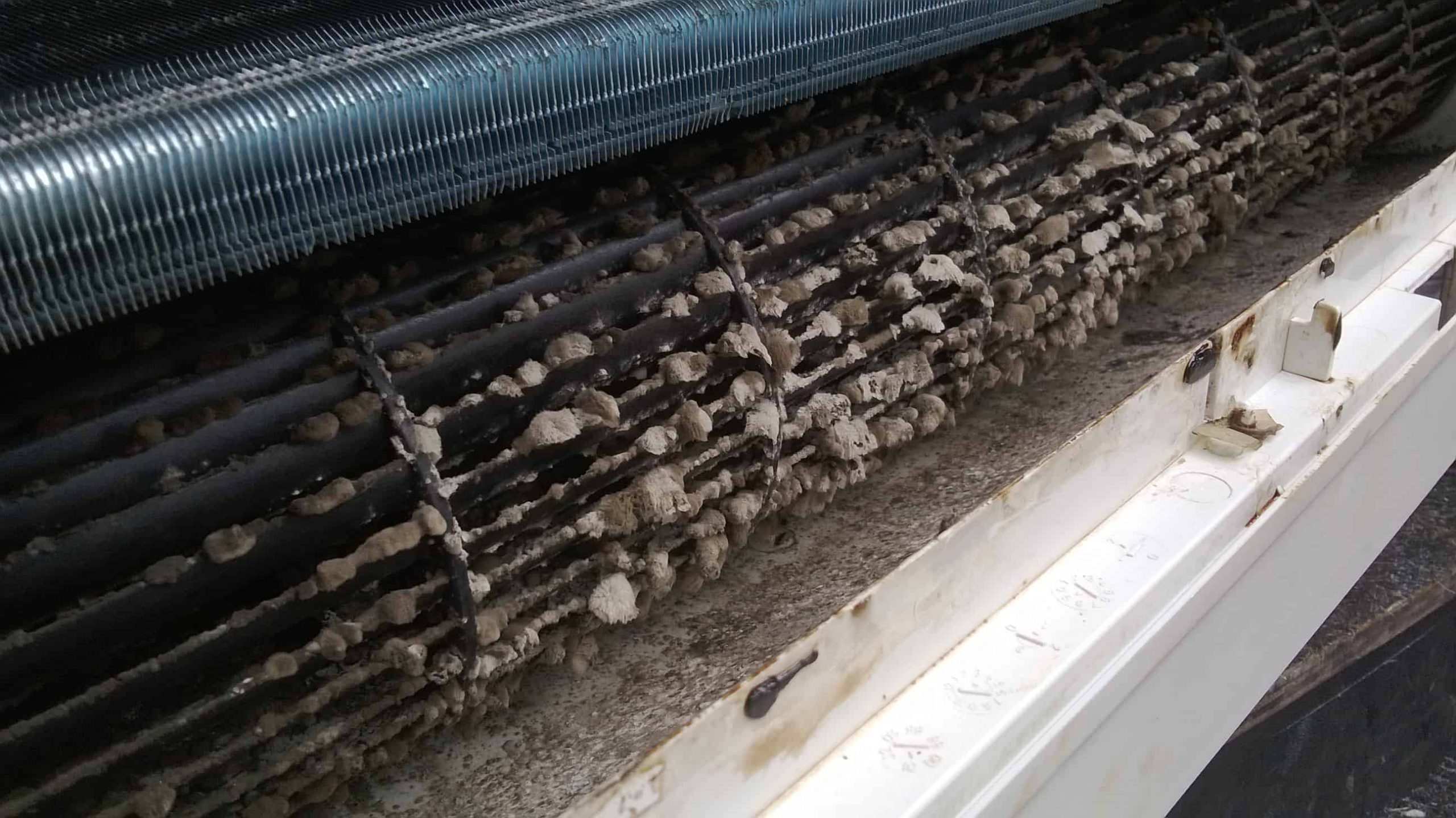 Mould Removal Singapore - Mouldgone Professional Mould AC Ckeaning