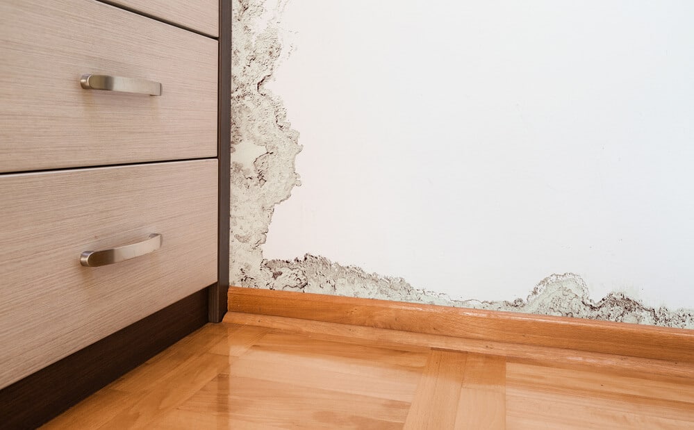 There are a myriad of causes for mould to grow on walls in a tropical climate. These range from high humidity, water leaks inside walls, lack of ventilation, knowing the correct AC .......