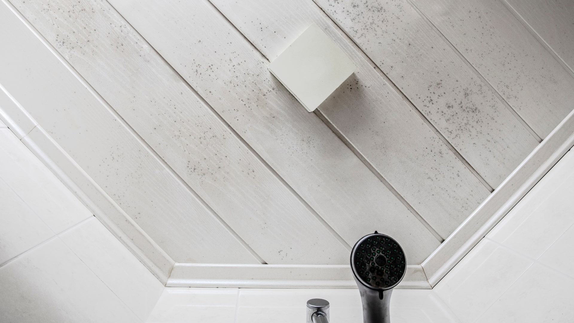 mould on bathroom ceiling