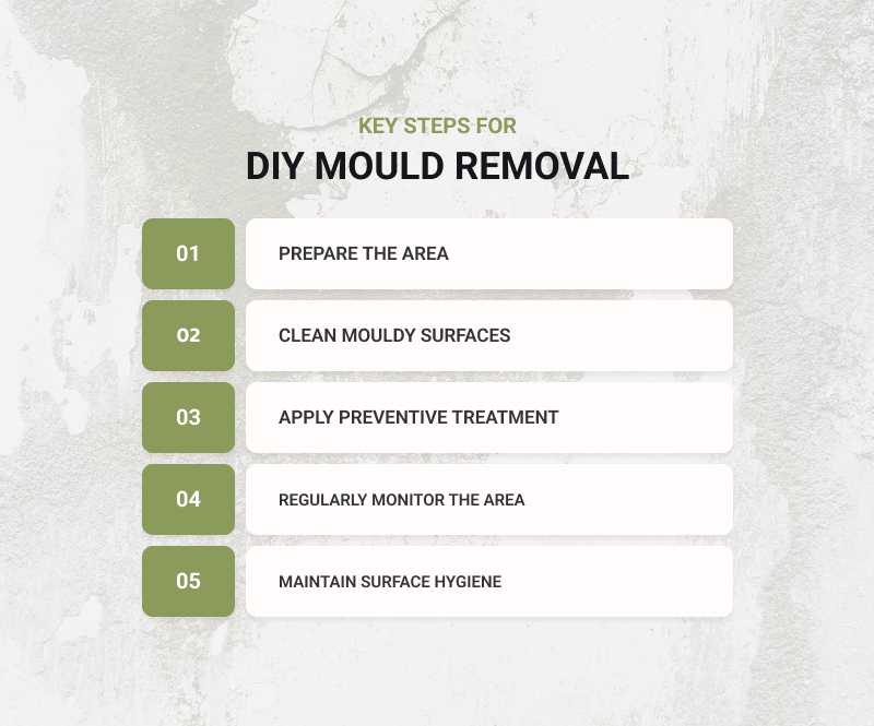 Infographic outlining five key steps for DIY mold removal.