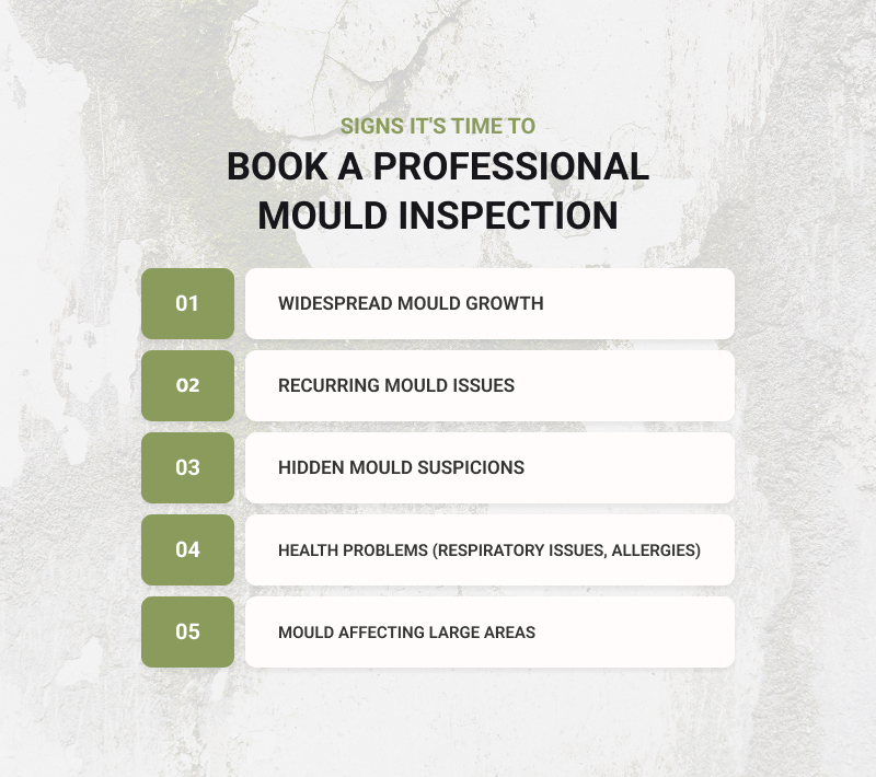 Infographic showing five signs to book a professional mold inspection.
